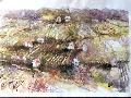 Domboldal szlskertekkel, akvarell, 50x70 cm, 47000 ft